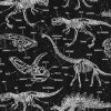 Glow in the Dark - Dinosaur Skeletons