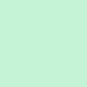 Spectrum Peppermint 2000/G35