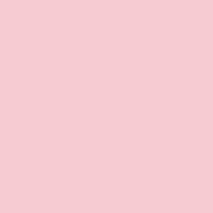 Spectrum Sorbet 2000/P20